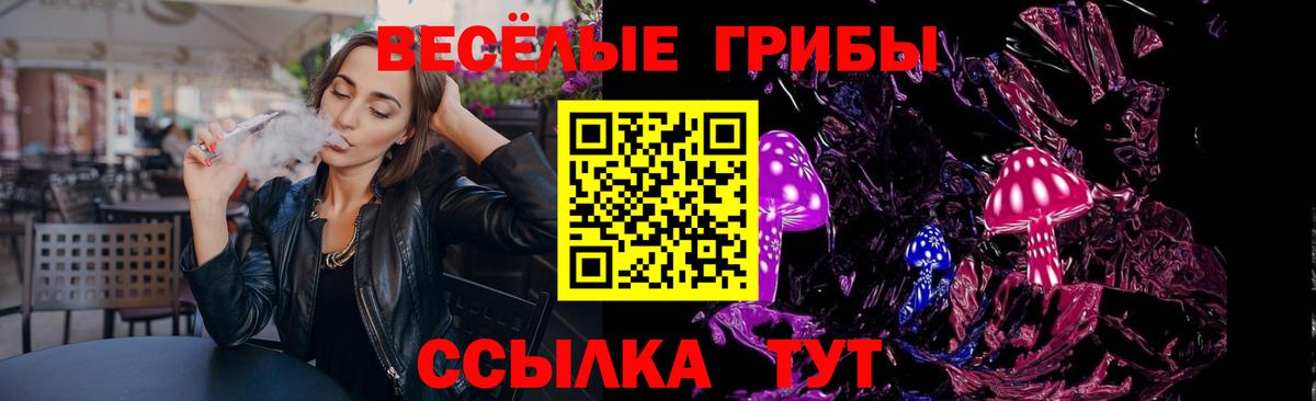Псилоцибиновые грибы Cubensis Ковров