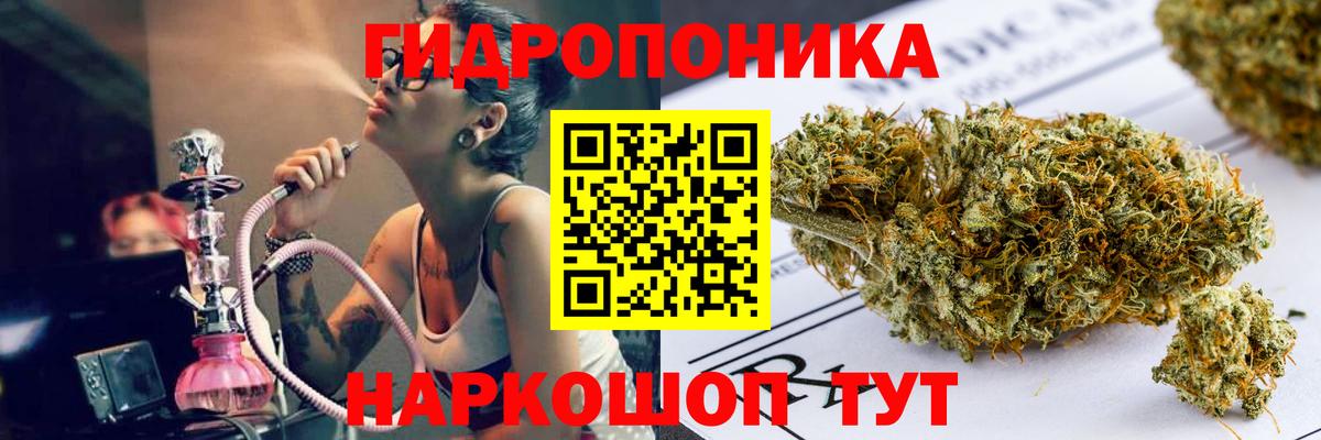 Конопля сатива Ковров